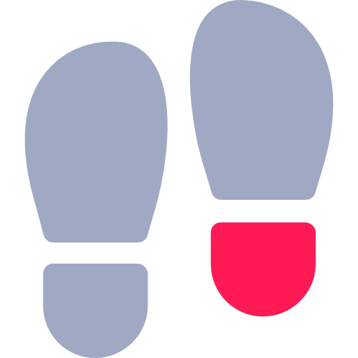 United States icon